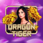 ph958 Live Casino